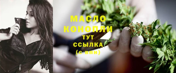 хмурый Верея