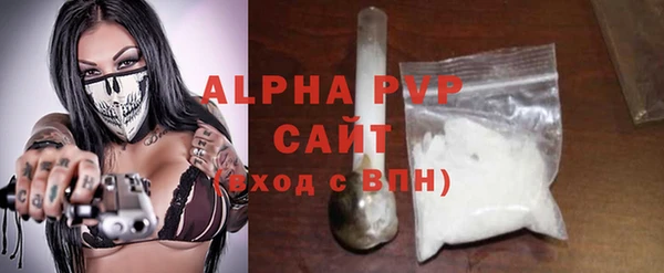 хмурый Верея