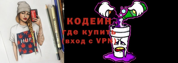 молекула духа Волоколамск