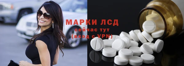 хмурый Верея