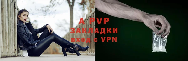 хмурый Верея
