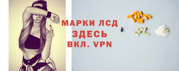 хмурый Верея