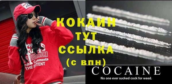 молекула духа Волоколамск