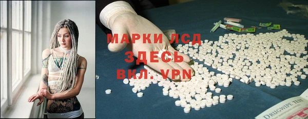 хмурый Верея