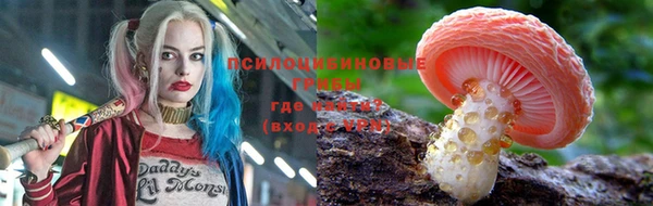 apvp Володарск