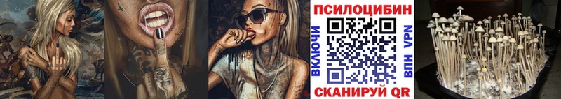 Галлюциногенные грибы GOLDEN TEACHER  купить закладку  кракен ТОР  Коряжма 